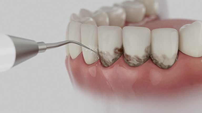 Reliable Dental contractor in Round Rock, TX by Dentist Open Now